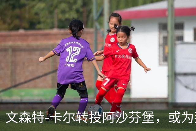 文森特-卡尔转投阿沙芬堡，或为拜仁之路铺平道路