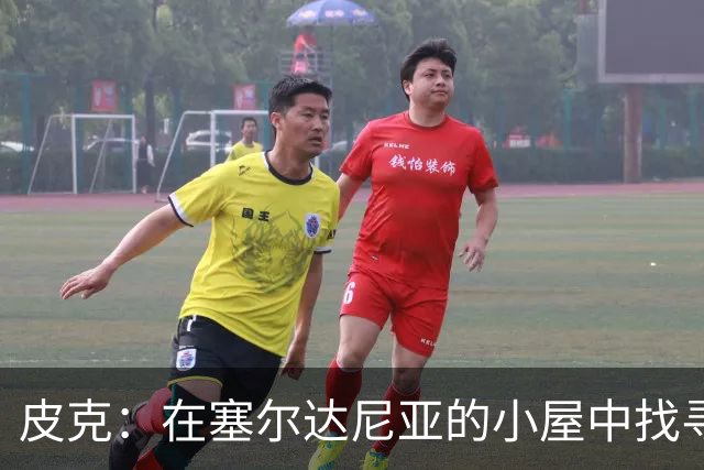 皮克：在塞尔达尼亚的小屋中找寻简单的快乐