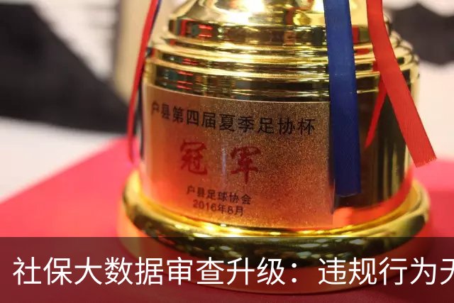社保大数据审查升级：违规行为无处遁形，终身追责成新常态